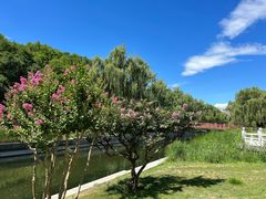 -元大都城垣遗址公园