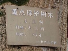 徐悲鸿故居-徐悲鸿故居