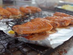 -吴淞炮台湾湿地森林公园烧烤区