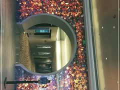 -北京朝阳悠唐皇冠假日酒店