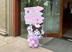 -派对猴生日派对策划(浦东店)