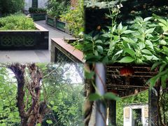 -广州神农草堂中医药博物馆