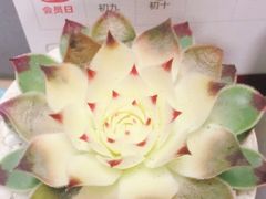 -客莱福诺富特酒店·互动餐厅