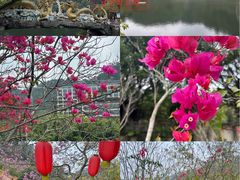 -龙门水都景区