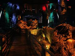 -乐山乌木文化博览苑