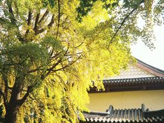 -郑和公园