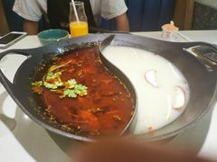 红汤梭边鱼锅-新辣道鱼火锅(上地华联店)