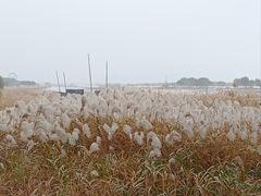 -苏州太湖国际会议中心