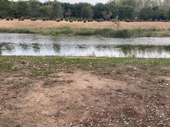 -蒲河岛湿地公园