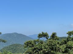 -北仑森林植物园