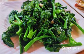 Stir-Fried Bok Choy with Garlic