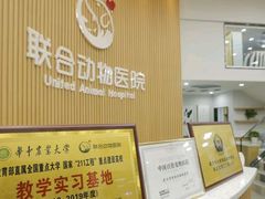 -联合动物医院(光谷诊疗中心)