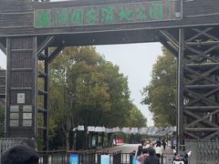 -溱湖国家湿地公园