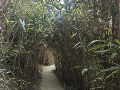 -盛世牡丹苑生态文化旅游区