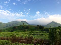 picture-帐篷客·溪龙茶谷度假酒店