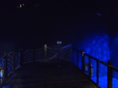 -H次元沉浸剧情密室(街道口店)
