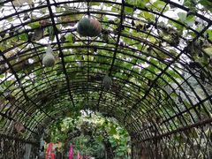 -白渔泡湿地公园