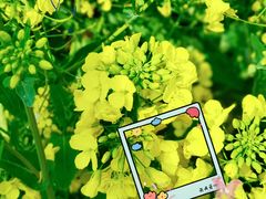 -白鹭湾湿地公园