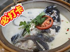 -全乐鱼馆·淳牌有机鱼直营店