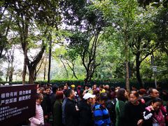 -韶山毛泽东同志故居