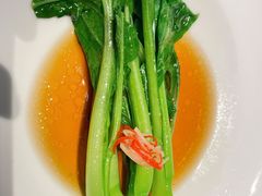 -觀芷隐轩