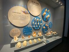 -贝林大翅鲸简餐厅(国家海洋博物馆店)