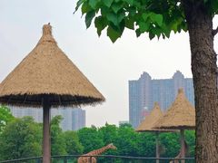 -南昌动物园
