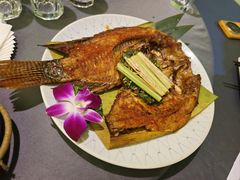 -紫滇源云南生态菜(丹凤街店)
