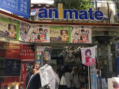 -Animate(秋叶原本馆)