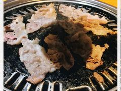 -唯成•韩国炭火烤肉 유성고기