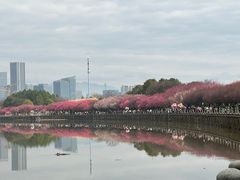 -海马体照相馆(义乌之心店)