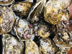 -蚝哥花姐湛江烤生蚝(美丽湾市场店)