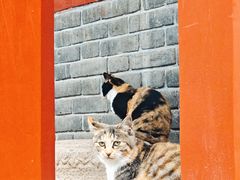 -沈阳市东陵公园