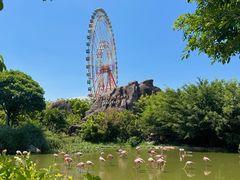 -芽庄珍珠岛游乐园