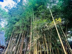 -潭柘寺景区