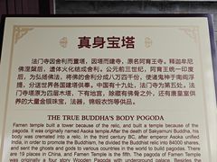-法门文化景区