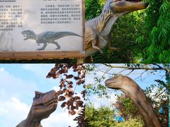 -海合安武汉极地海洋公园