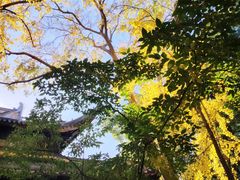 -西园戒幢律寺