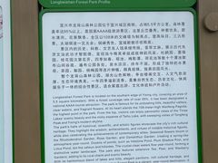 -宜兴龙背山森林公园