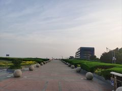 -南汇嘴观海公园