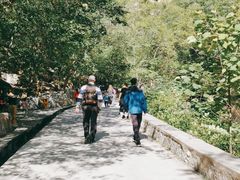 -北京上方山国家森林公园