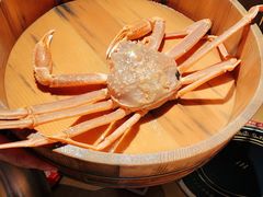 -綱元·海鲜豆捞(明州里店)