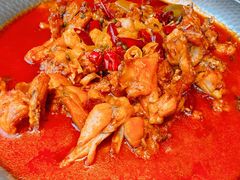 -美蛙四季(望京凯德茂店)