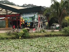 -华南国家植物园-售票处