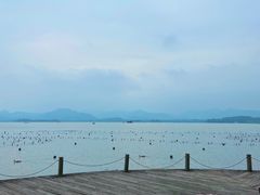 -杭州君悦酒店