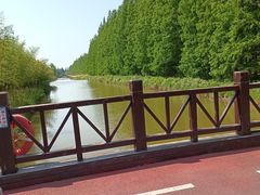 -黄海国家森林公园