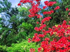 -敬亭山风景名胜区