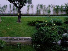 -深圳国际园林花卉博览园