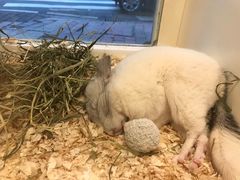 -龙猫仔乐园(惠福东路店)