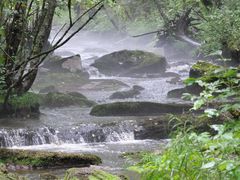 -汤旺河林海奇石景区